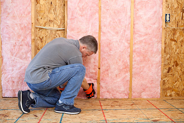 Trusted Ladd, IL Insulation Experts